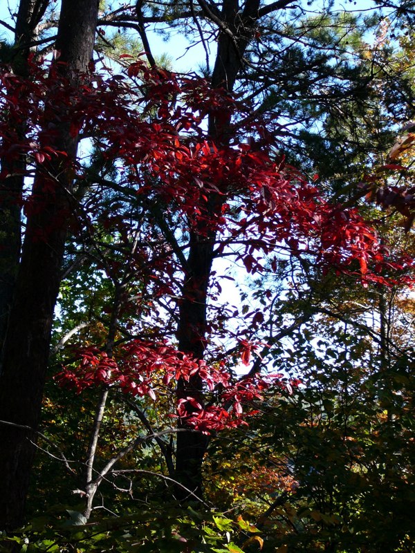 image09